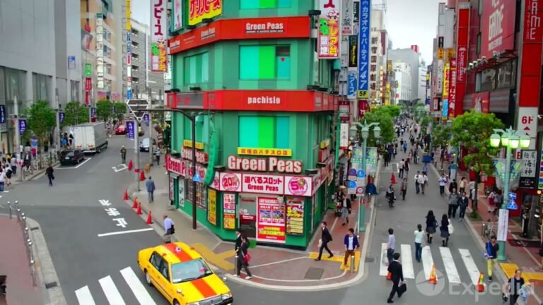 ☑ TOQUIO  ―  JAPAO  Guia de Viagem EM INGLES (Tokyo Travel Guide) #tokyo #toquio #japan #japao #;)